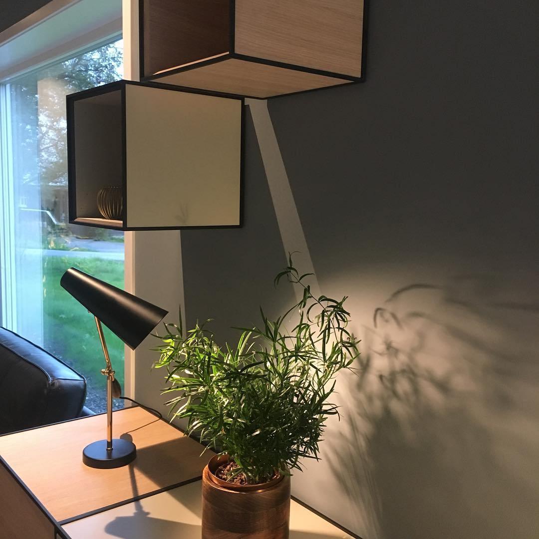 Birdy Table Lamp | Steel & Aluminum | White, Grey, Black, Red