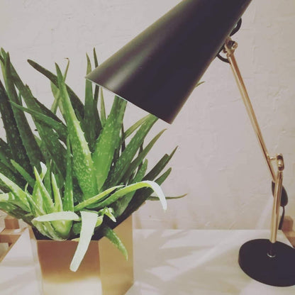 Birdy Table Lamp | Steel & Aluminum | White, Grey, Black, Red