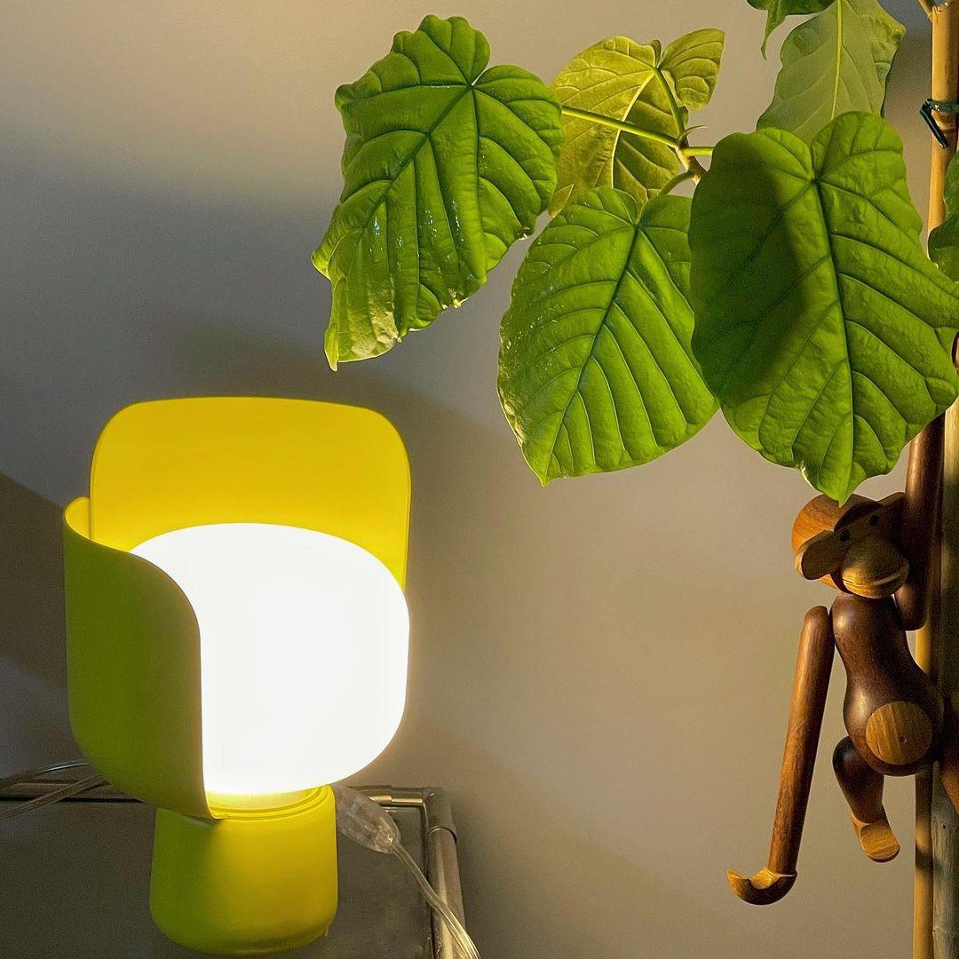 Petals Glass Table Lamp | Adjustable Light Intensity | Multiple Colors