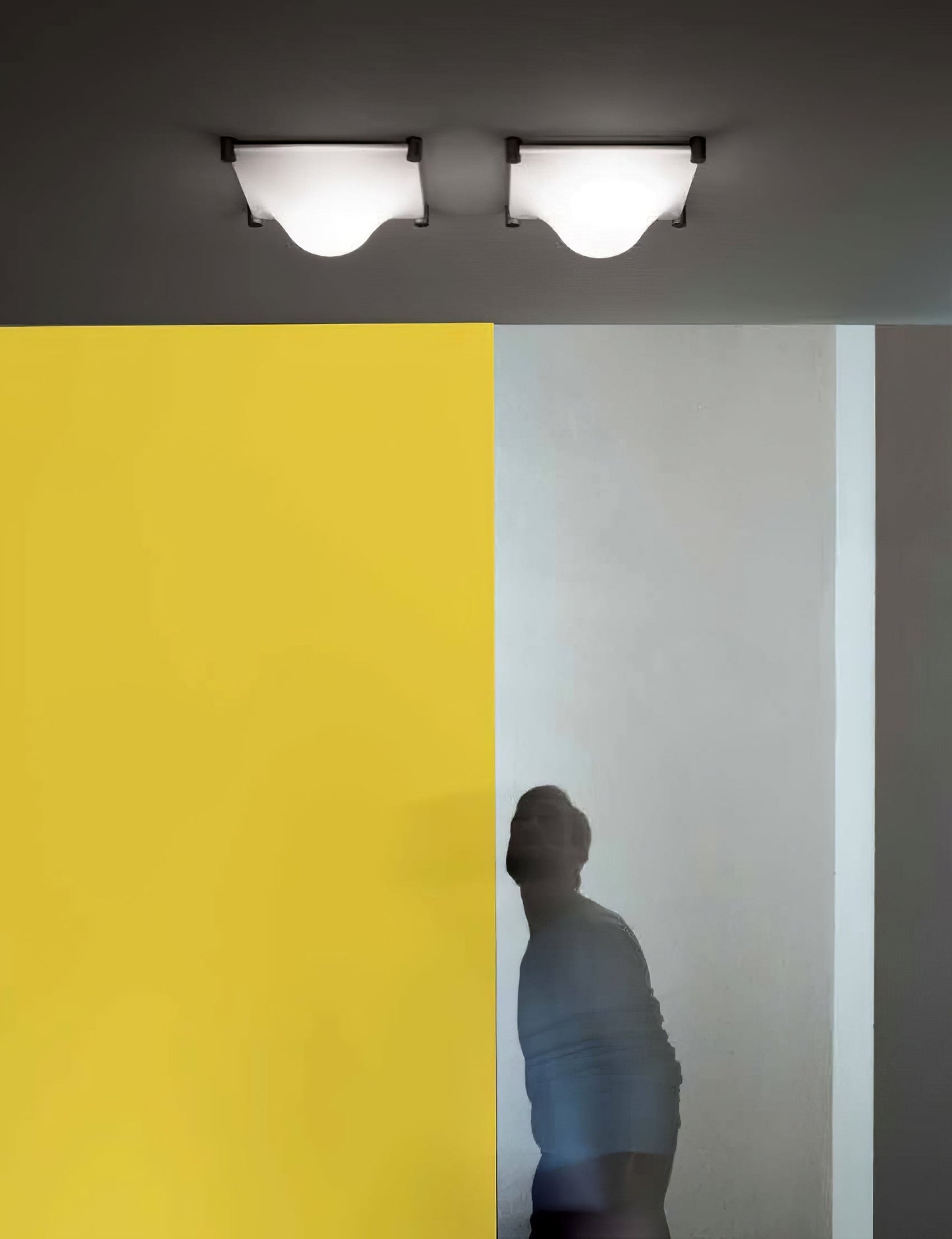 Bolla Ceiling Light | Stainless Steel & Acrylic | Chrome