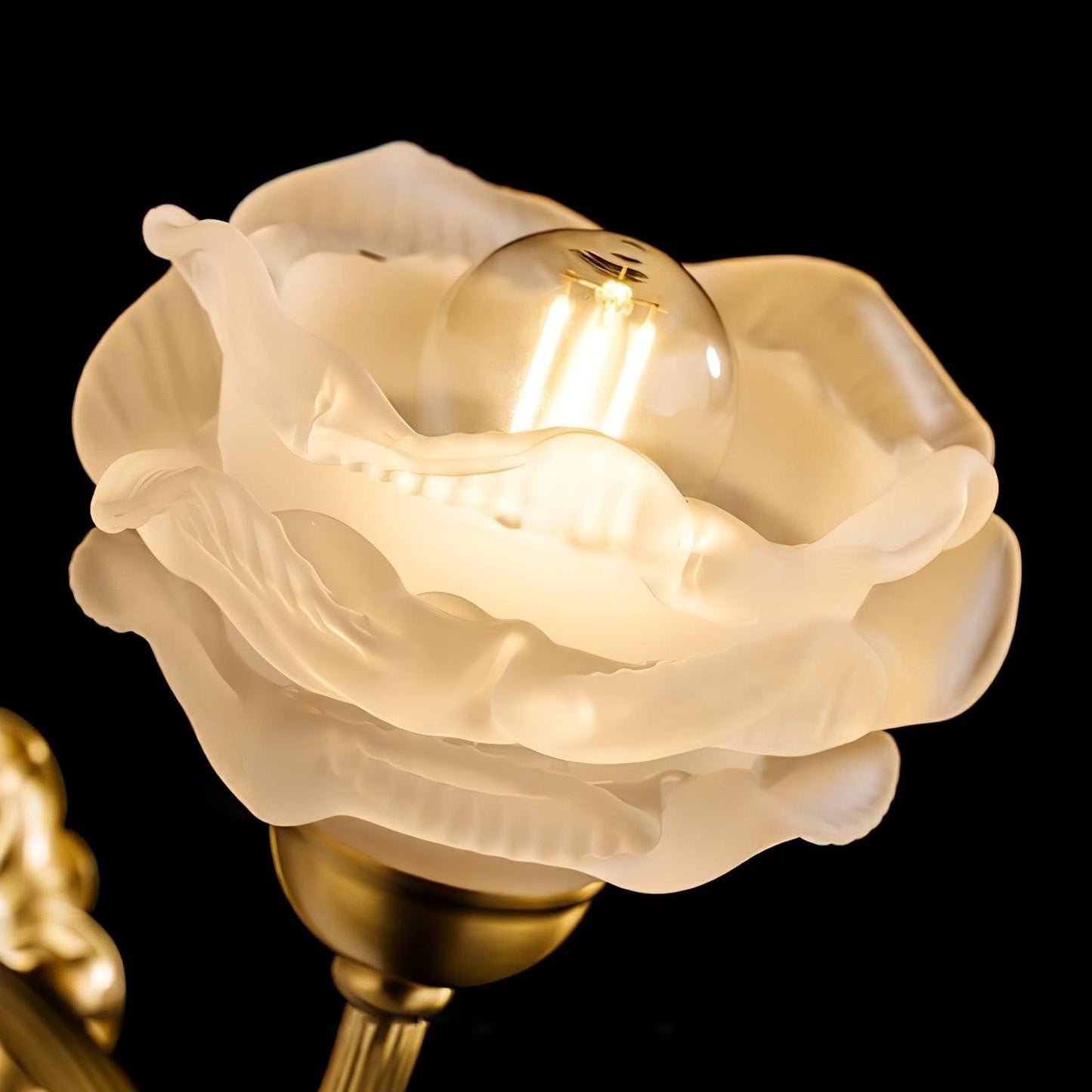Brass Rose Wall Light Set | Elegant Brass & Glass Design | Set of 2
