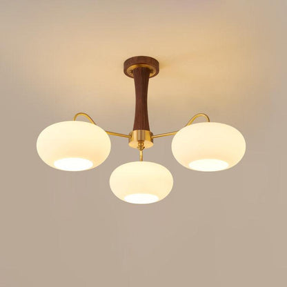 Brass Wooden Chandelier | Glass Shade | 3 or 5 Lights