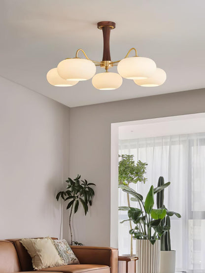 Brass Wooden Chandelier | Glass Shade | 3 or 5 Lights