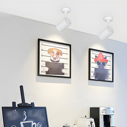Calla Beam Spotlight | Metal, Aluminum, Acrylic | Black, White