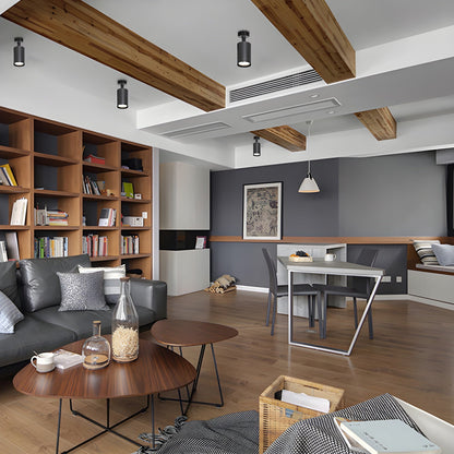 Calla Beam Spotlight | Metal, Aluminum, Acrylic | Black, White