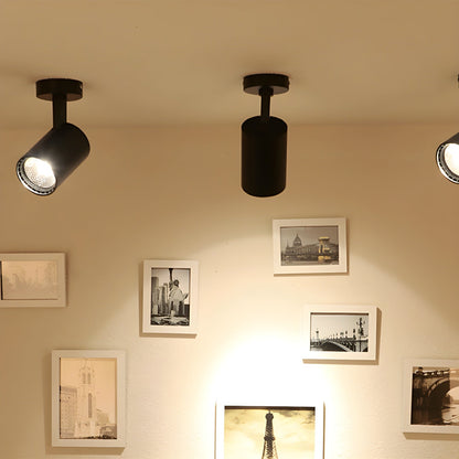 Calla Beam Spotlight | Metal, Aluminum, Acrylic | Black, White