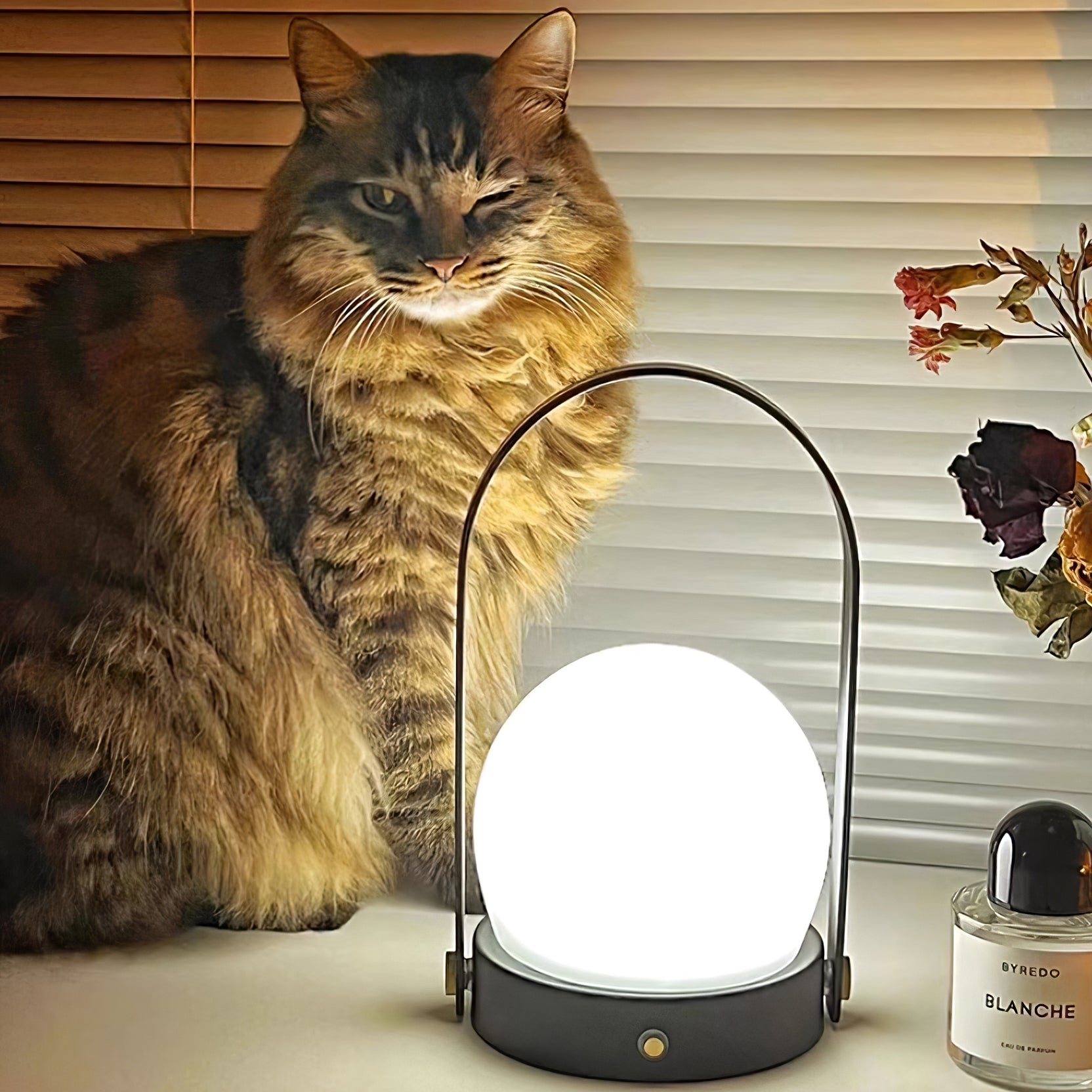 Portable Table Lamp | Metal & Glass | Warm Light, Multiple Colors