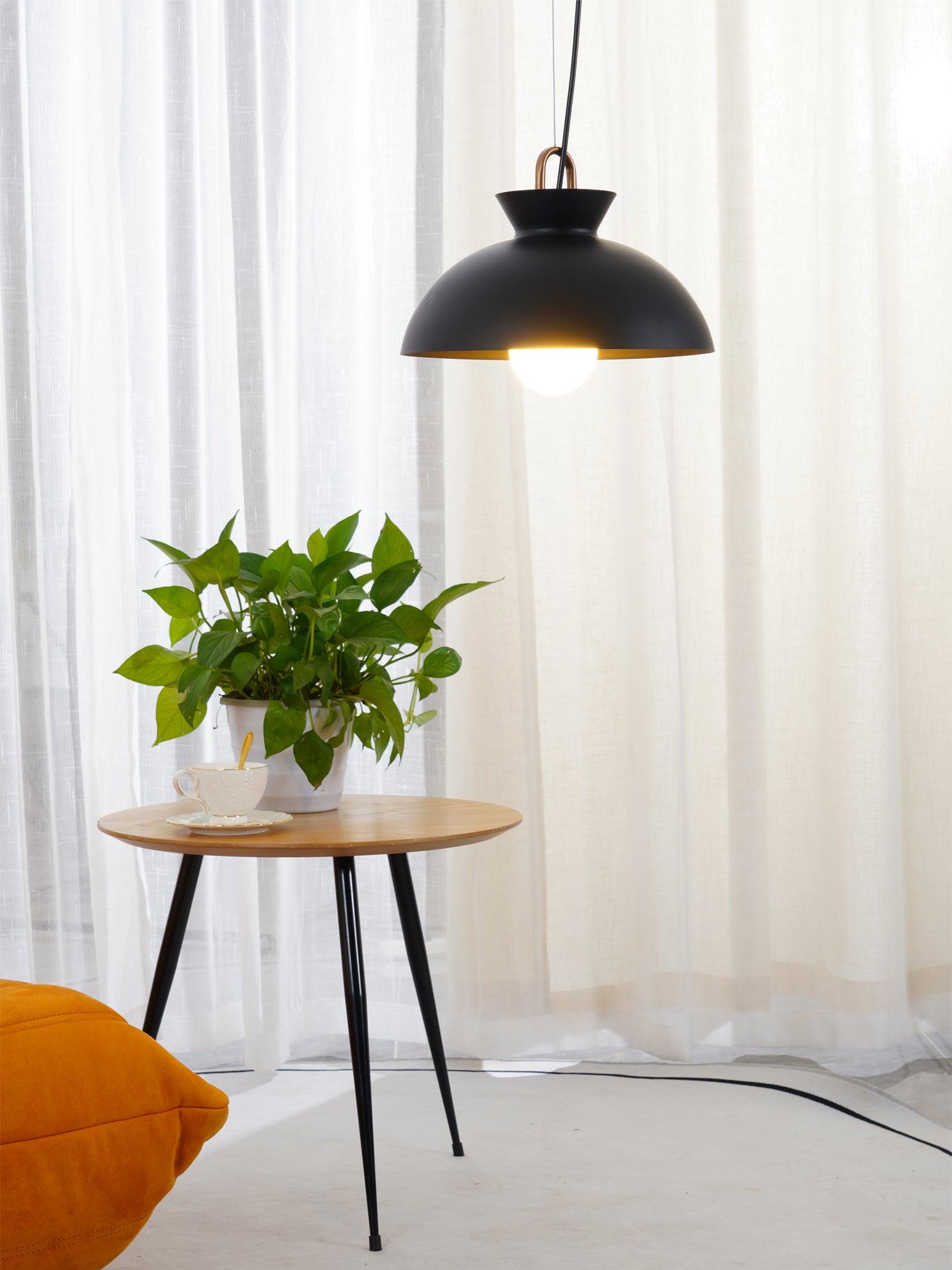 Coil Ceiling Pendant Light | Metal & Glass | Black and White