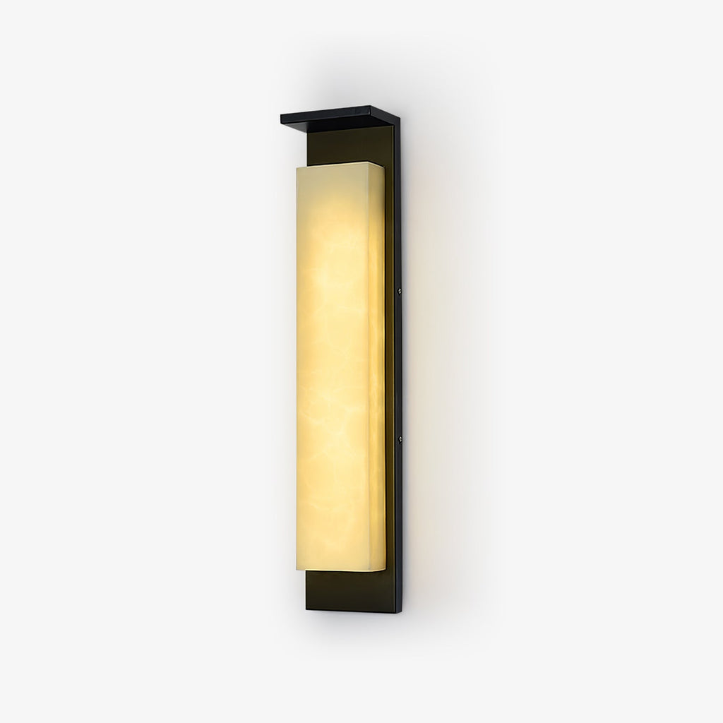 Delaney Outdoor Wall Light | Stainless Steel, Resin | Black & White