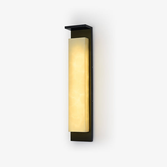 Delaney Outdoor Wall Light | Stainless Steel, Resin | Black & White