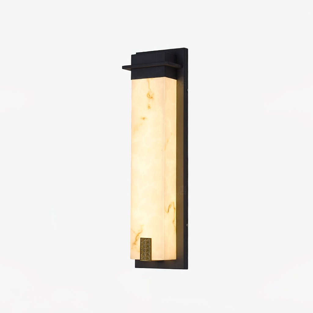 Delaney Outdoor Wall Light | Stainless Steel, Resin | Black & White