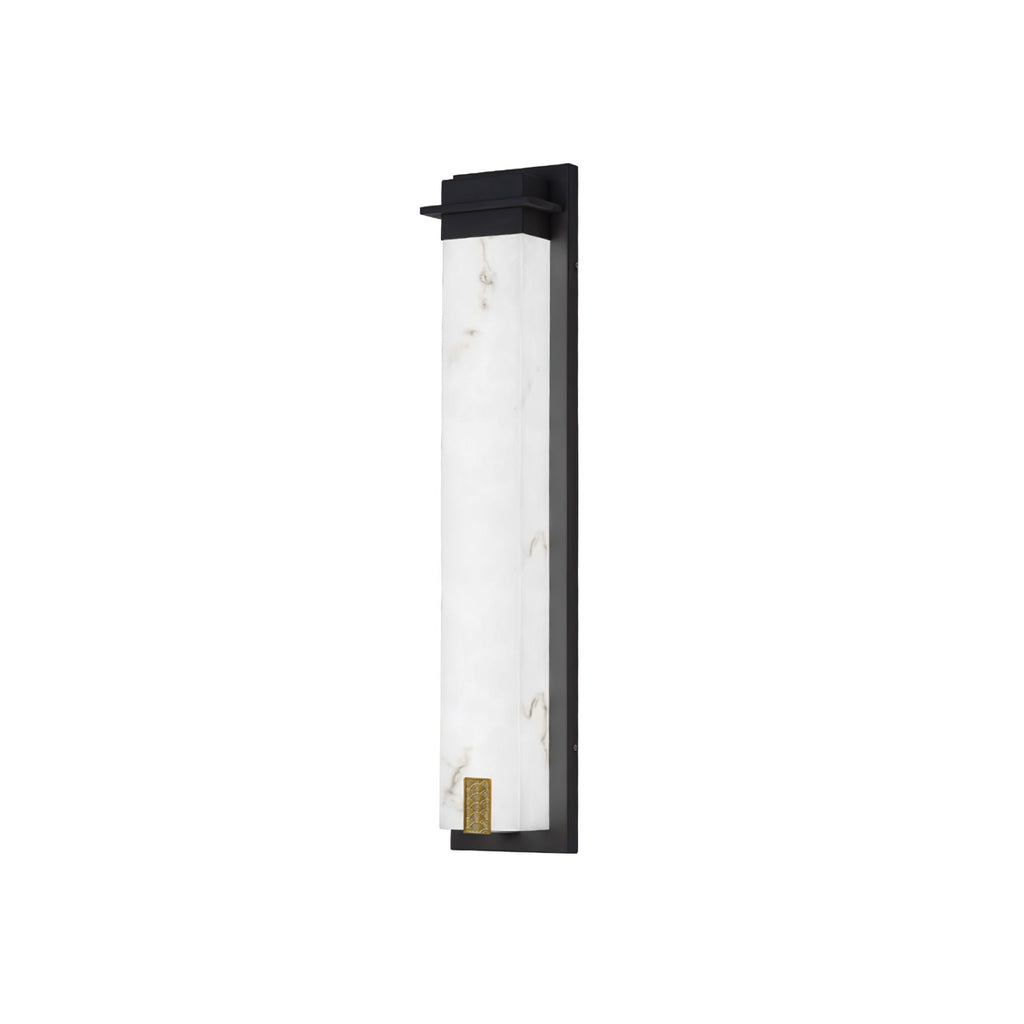 Delaney Outdoor Wall Light | Stainless Steel, Resin | Black & White