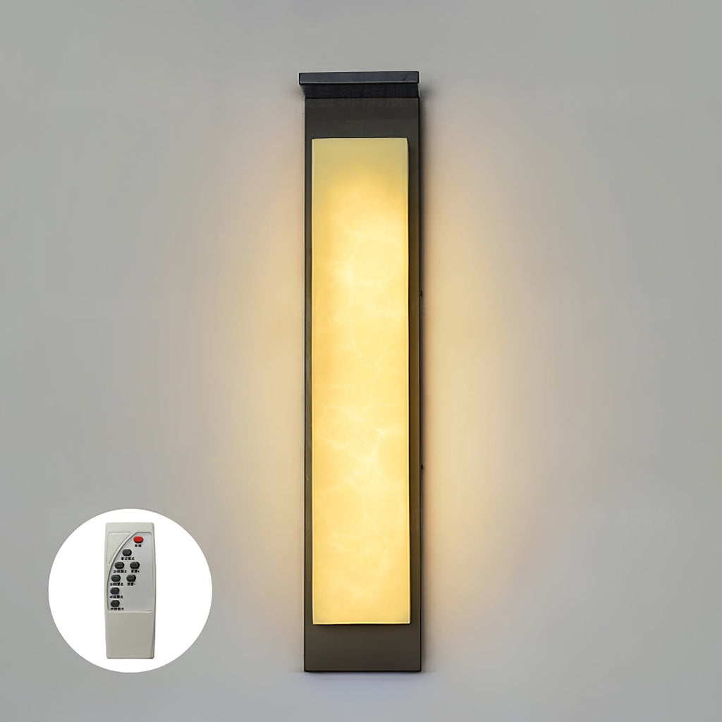 Delaney Outdoor Wall Light | Stainless Steel, Resin | Black & White