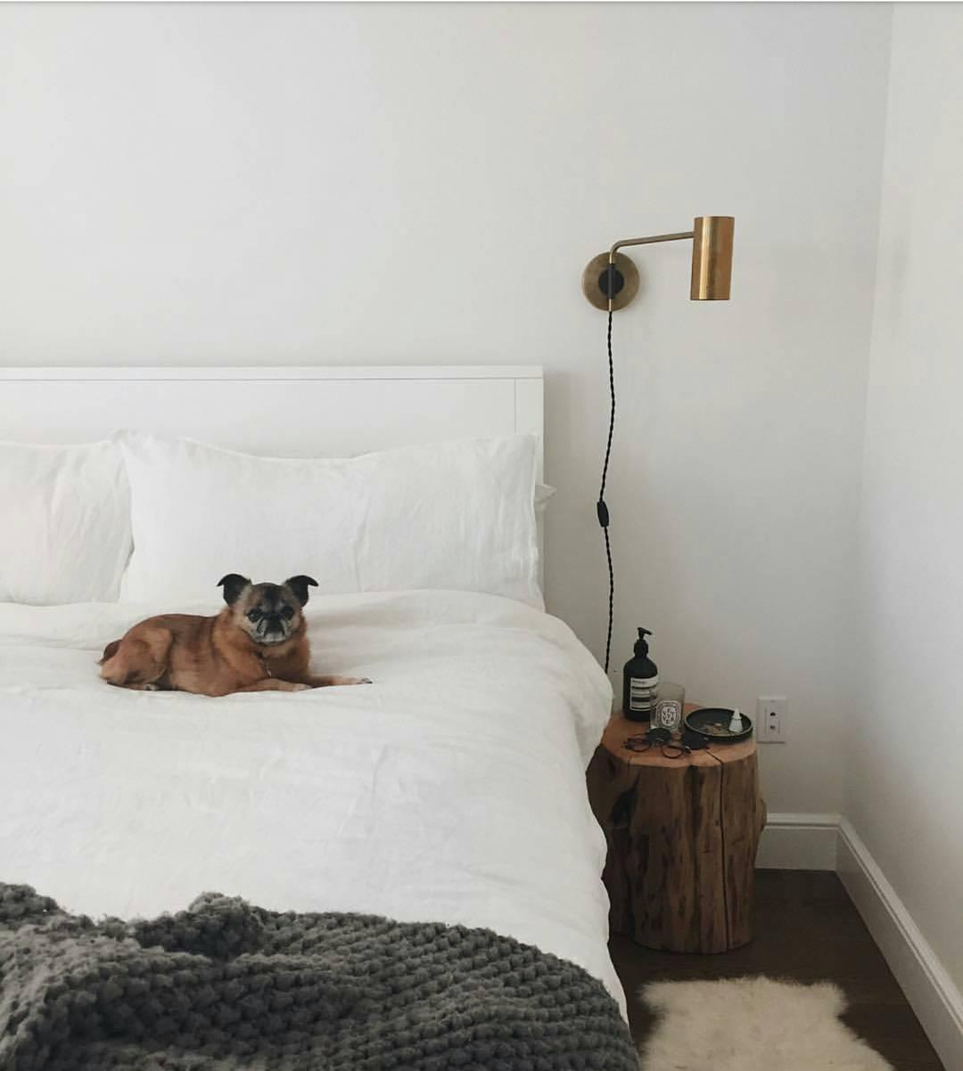 Envoy Swing Sconce | Brass | Wall Mount