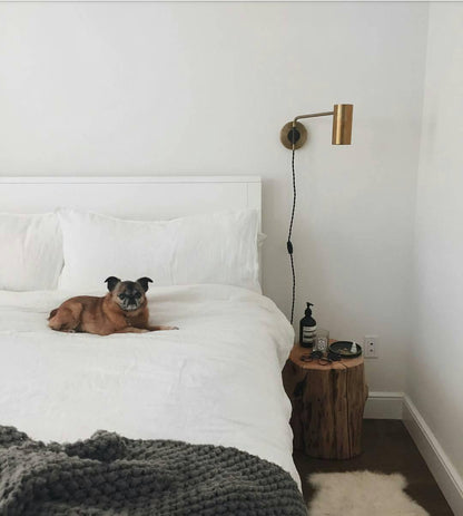 Envoy Swing Sconce | Brass | Wall Mount