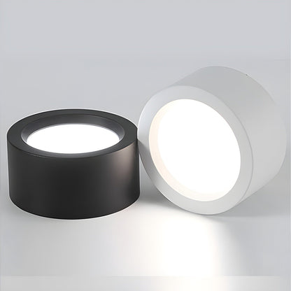 Ethan Surface Ceiling Light | Modern LED | Black