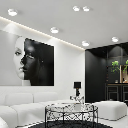 Ethan Surface Ceiling Light | Modern LED | Black