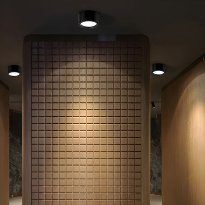 Ethan Surface Ceiling Light | Modern LED | Black