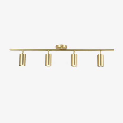Evanna Ceiling Light | Adjustable Spotlight | Black, White, Gold
