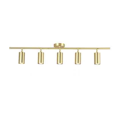 Evanna Ceiling Light | Adjustable Spotlight | Black, White, Gold