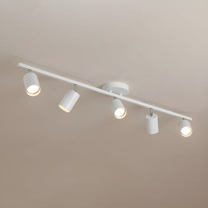 Evanna Ceiling Light | Adjustable Spotlight | Black, White, Gold
