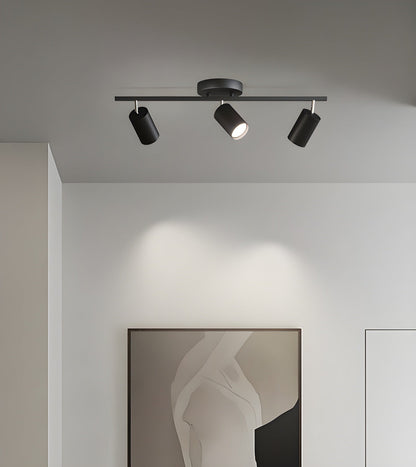 Evanna Ceiling Light | Adjustable Spotlight | Black, White, Gold
