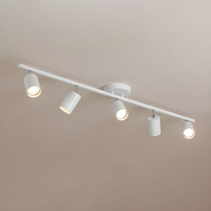 Evanna Ceiling Light | Adjustable Spotlight | Black, White, Gold