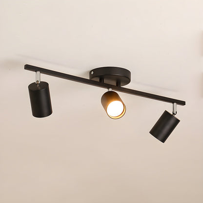 Evanna Ceiling Light | Adjustable Spotlight | Black, White, Gold