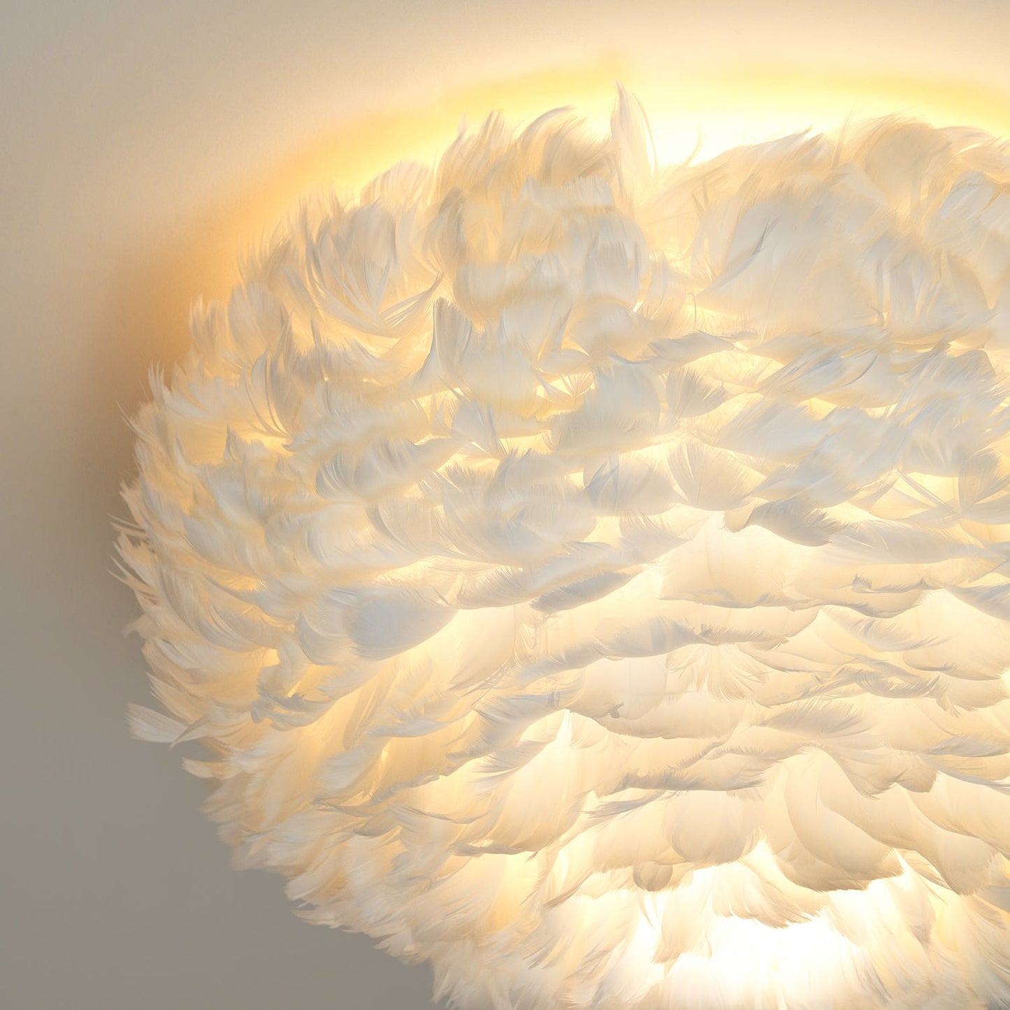 Feathered Ceiling Lamp | Goose Feather | White, Pink