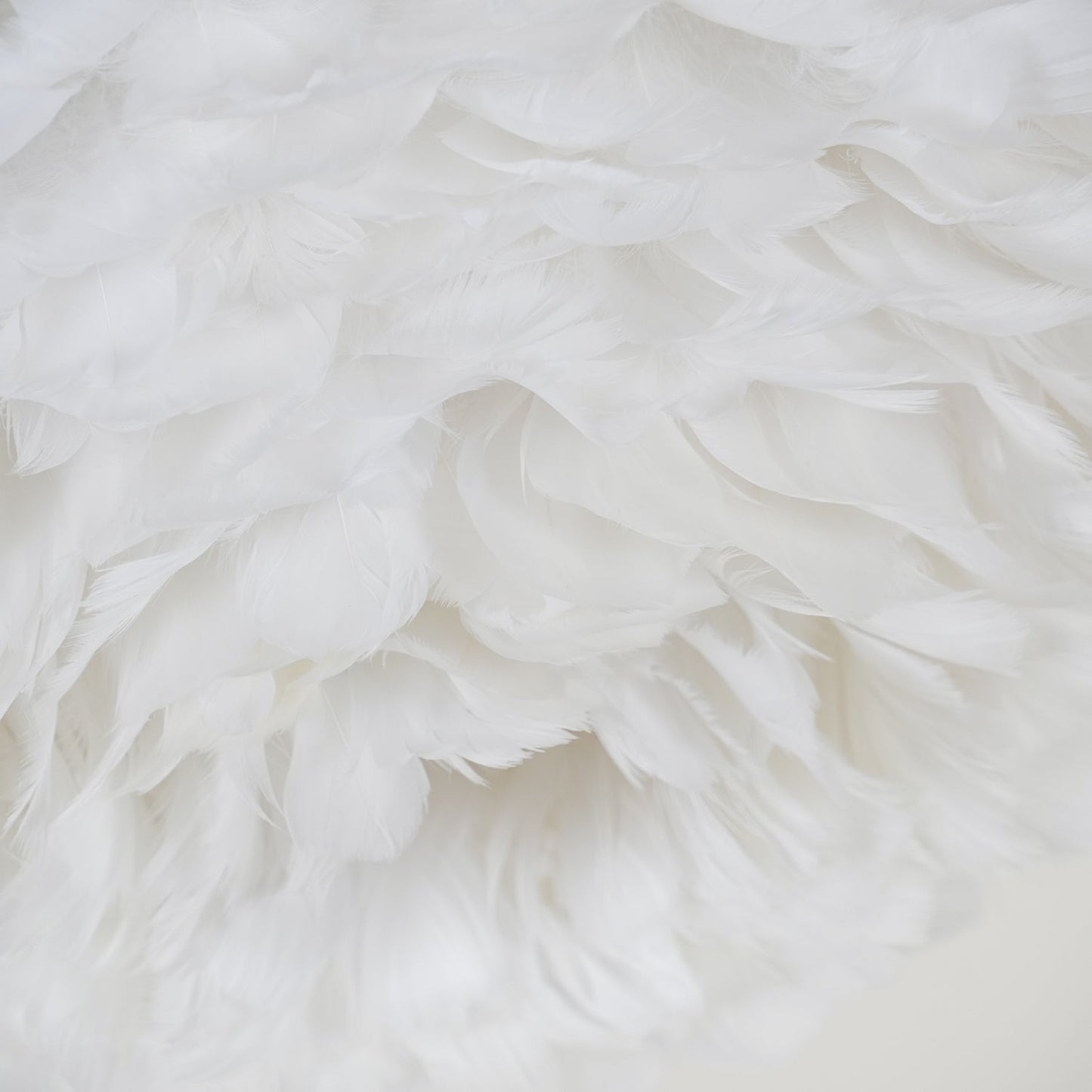 Feathered Ceiling Lamp | Goose Feather | White, Pink