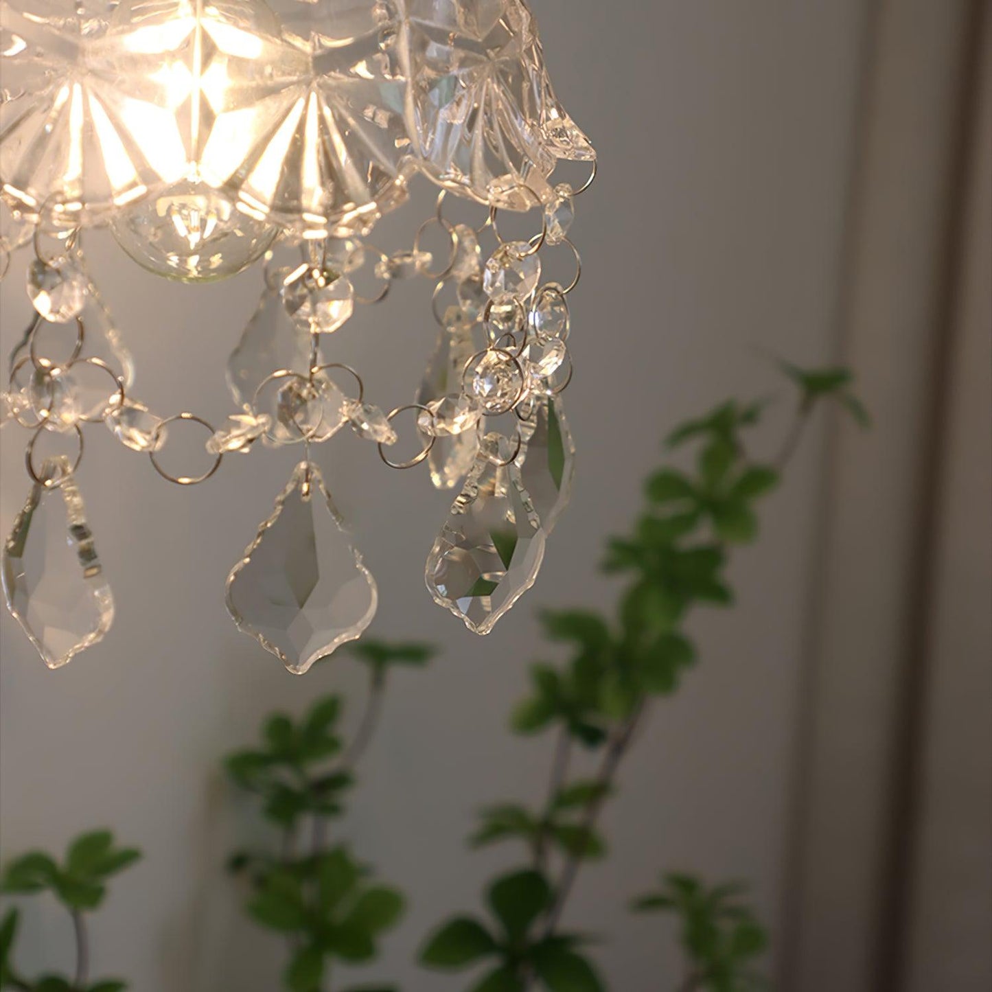 French Crystal Wall Light | Brass & Crystal | Gold