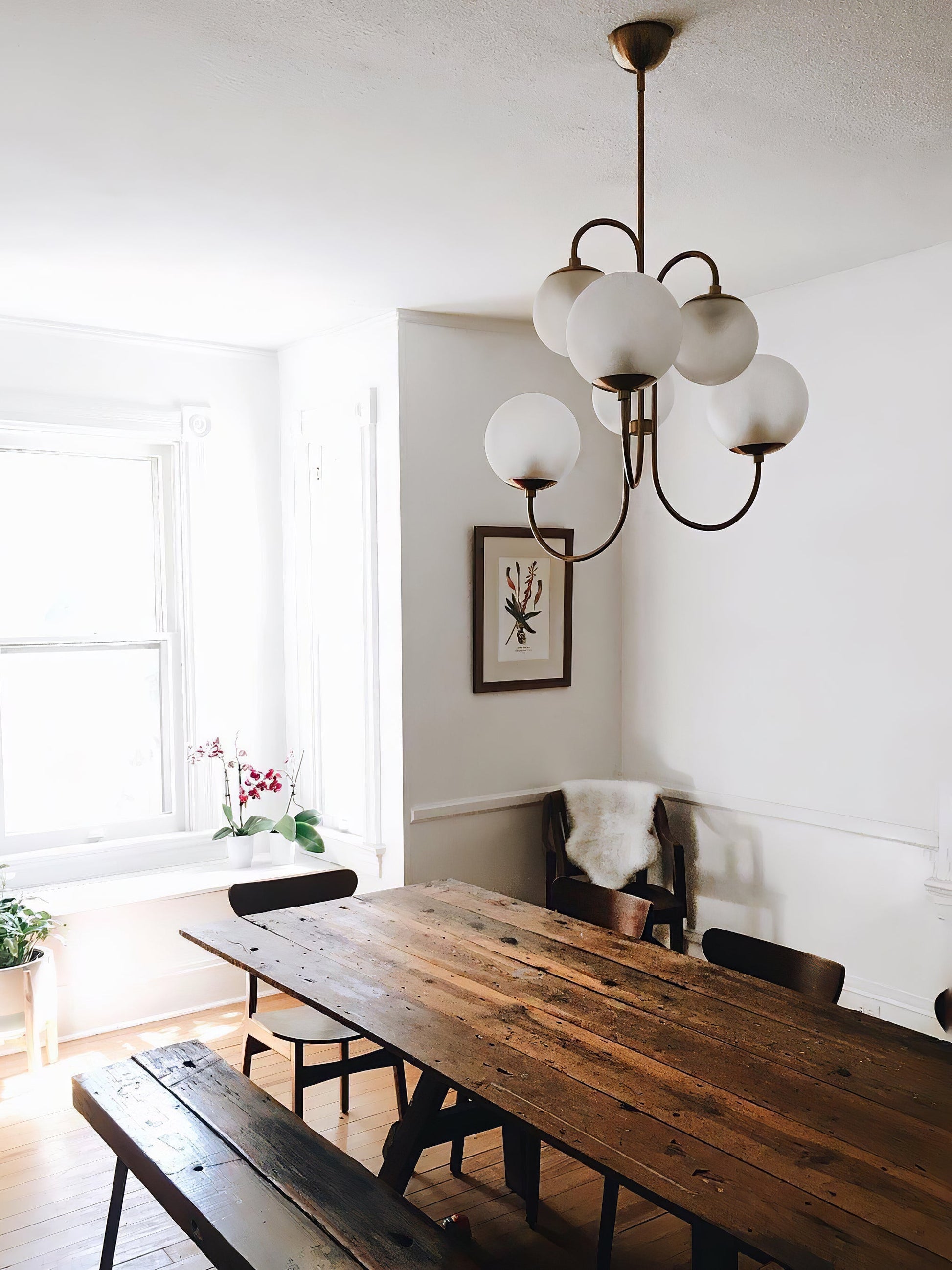 Gooseneck Chandelier | Salt-Blasted Glass Globes | Gold and Black