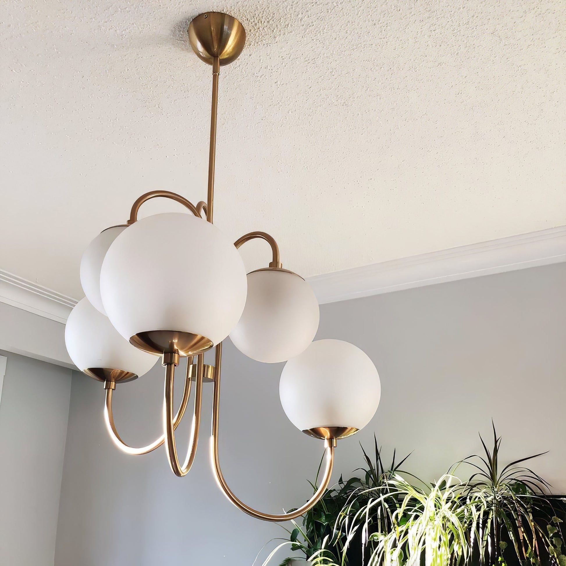 Gooseneck Chandelier | Salt-Blasted Glass Globes | Gold and Black