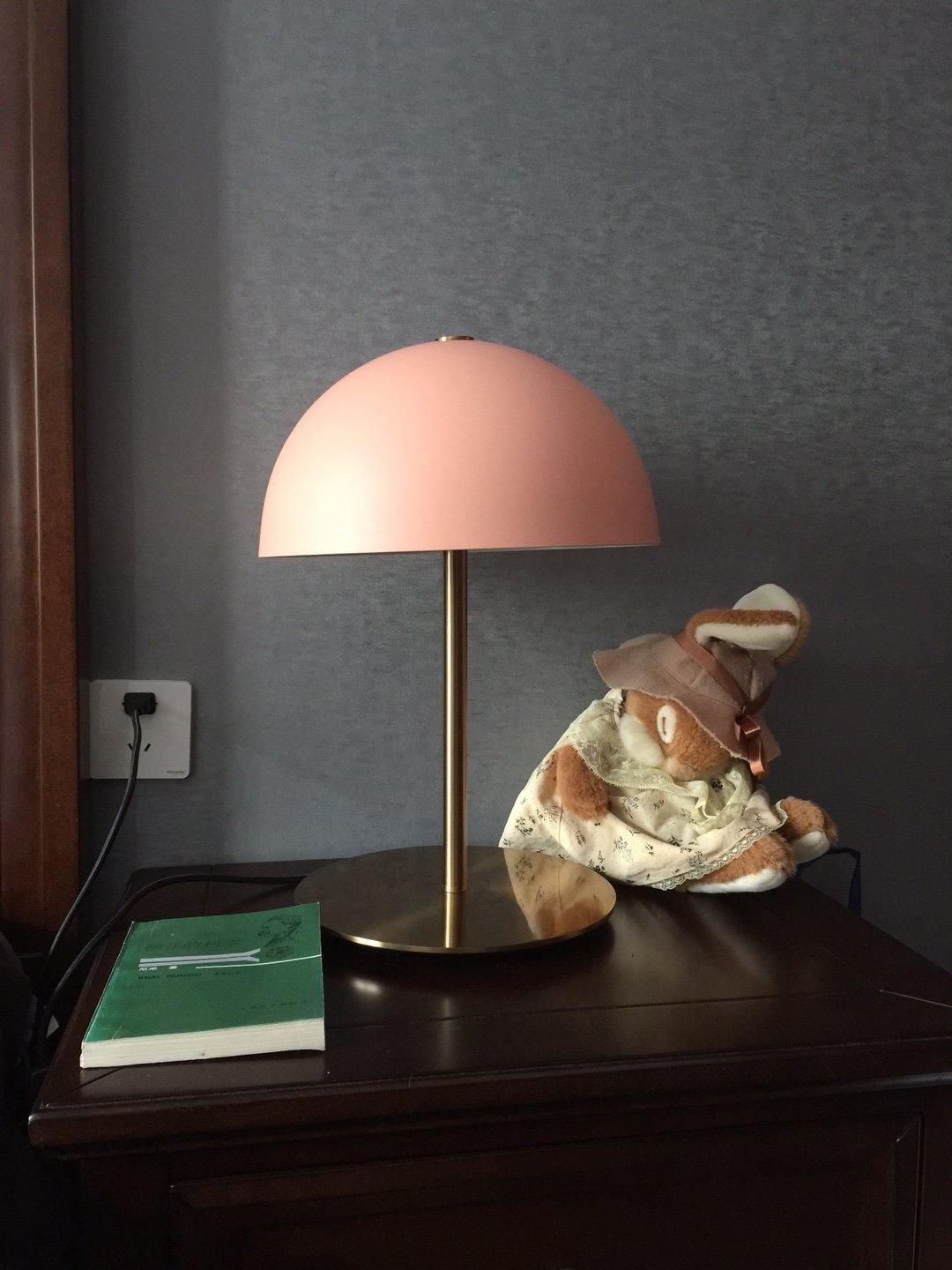 Hanna Table Lamp | Modern Dome Design | Pink Acrylic Shade