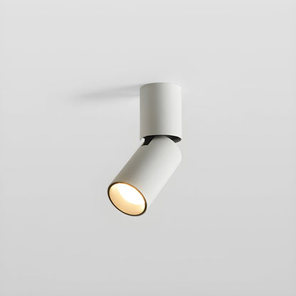 Julian Adjustable Downlight | Adjustable Spotlight | Black or White