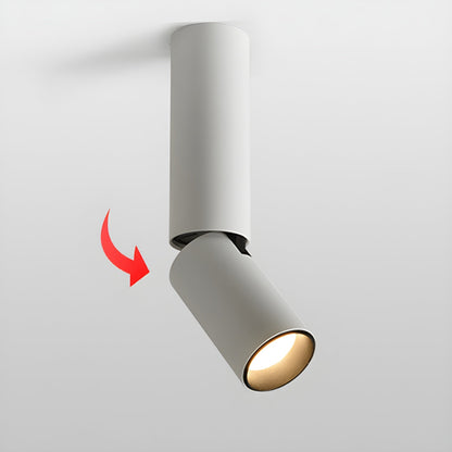 Julian Adjustable Downlight | Adjustable Spotlight | Black or White