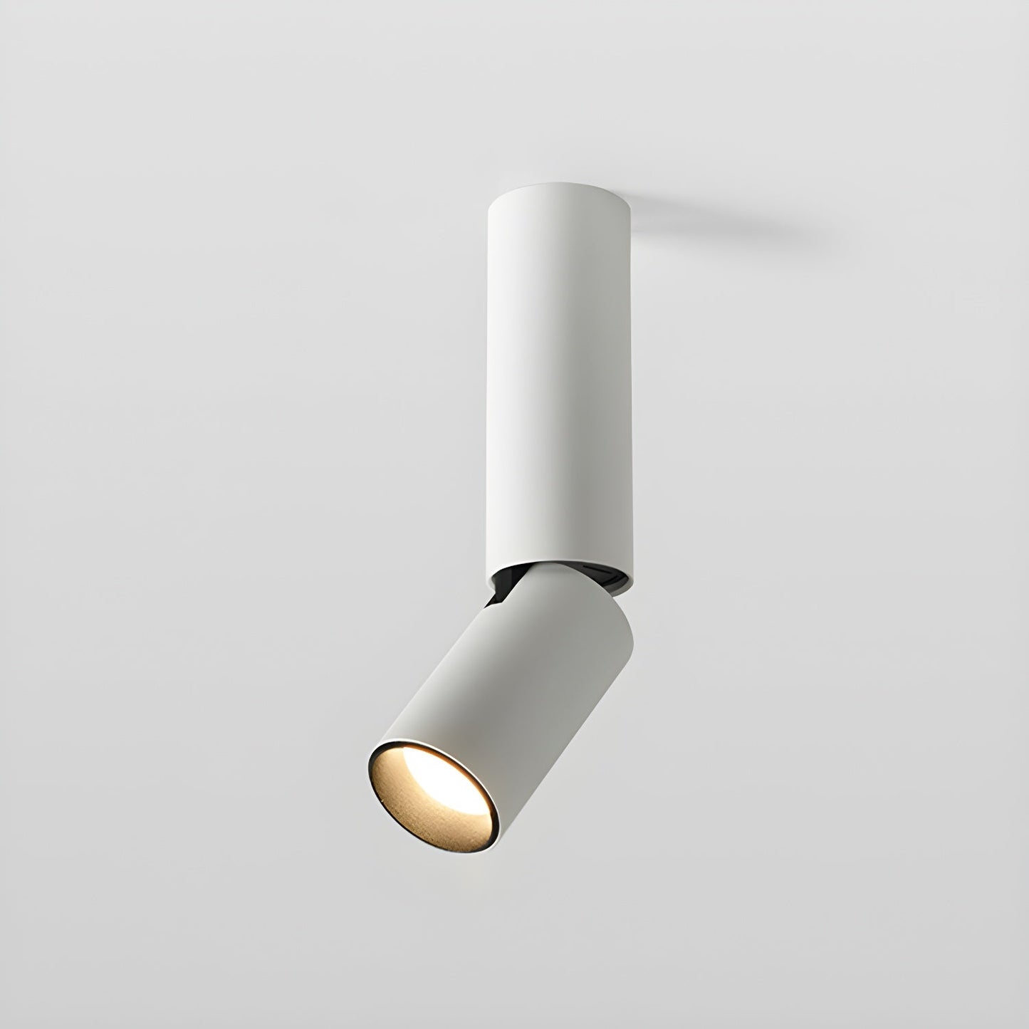 Julian Adjustable Downlight | Adjustable Spotlight | Black or White