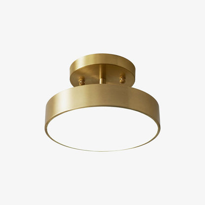 Hero Rotating Ceiling Lamp | Brass Finish | Rotating
