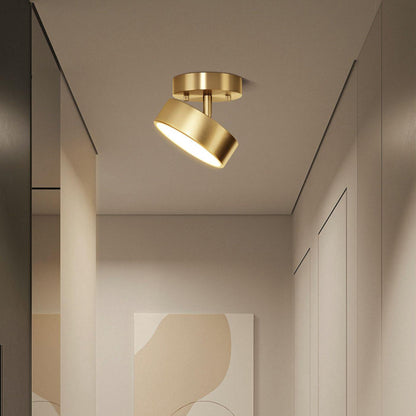Hero Rotating Ceiling Lamp | Brass Finish | Rotating