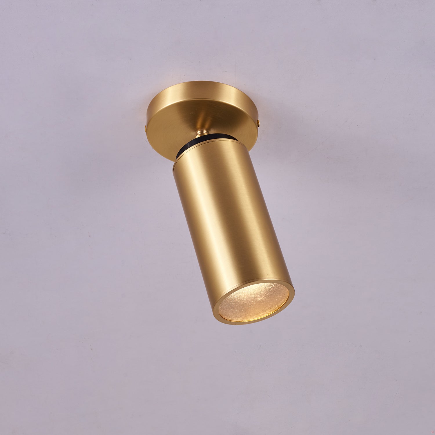 Horizon Brass Spot Light