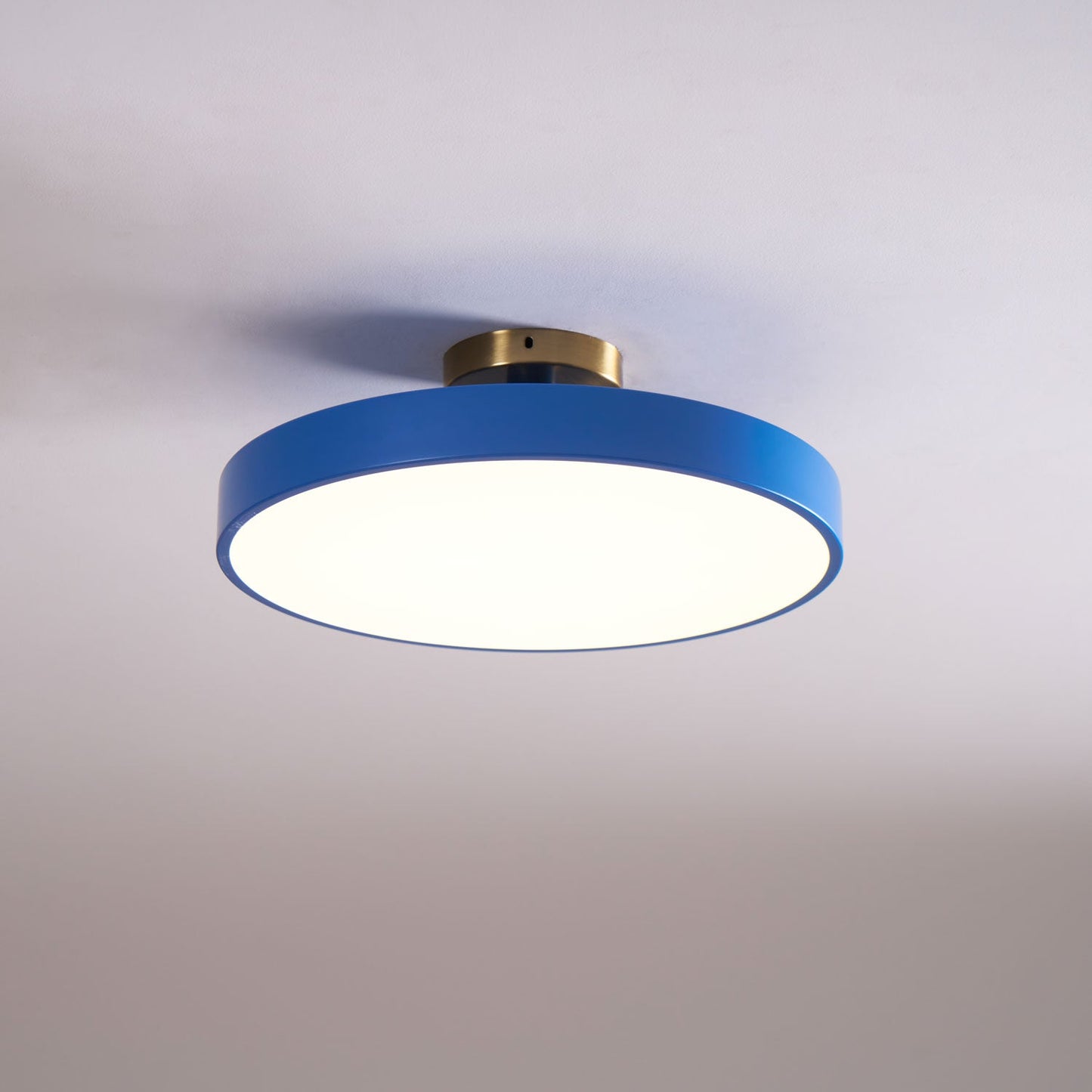Isla Flush Mount Ceiling Lamp | Black and Gold Metal | 30cm or 40cm Diameter
