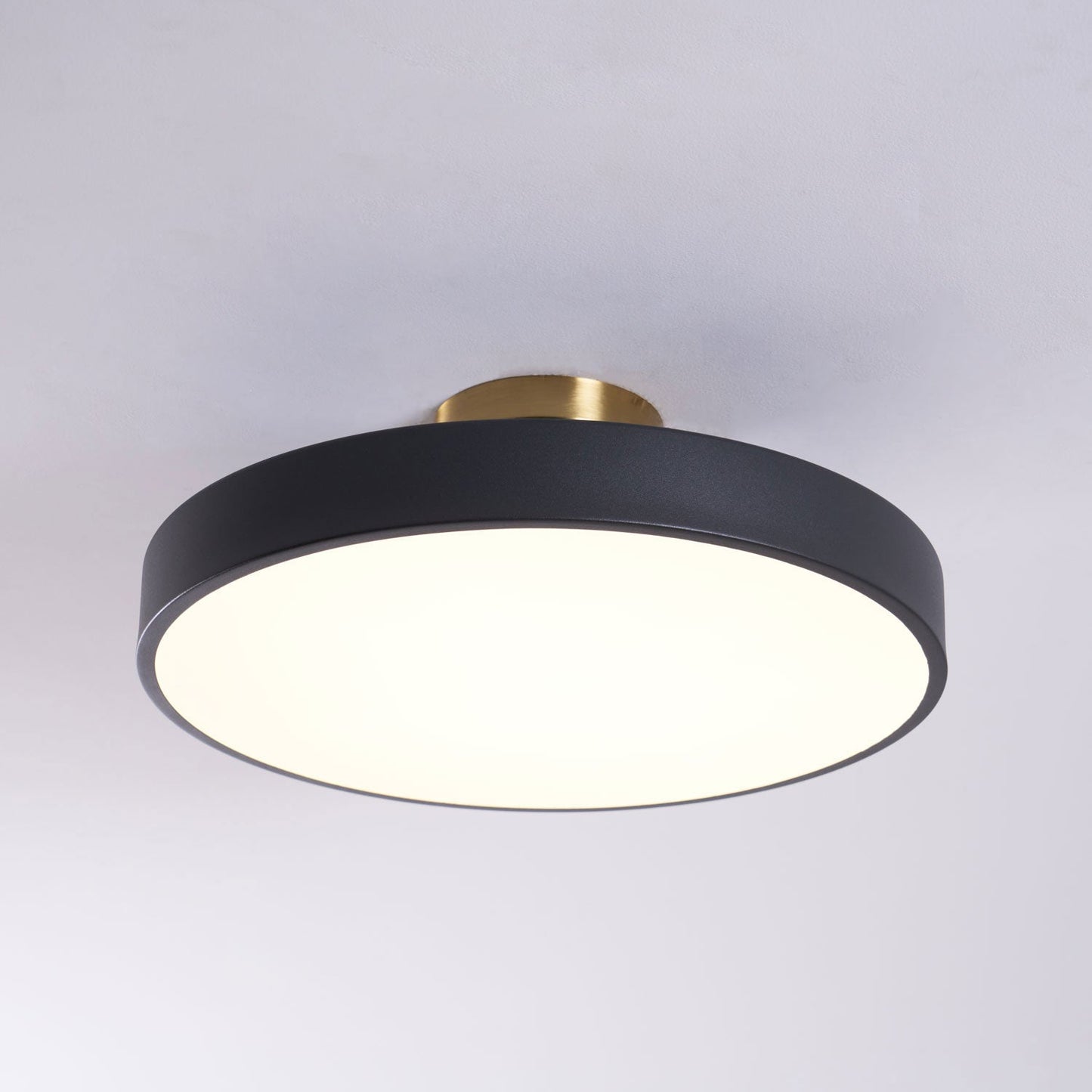 Isla Flush Mount Ceiling Lamp | Black and Gold Metal | 30cm or 40cm Diameter