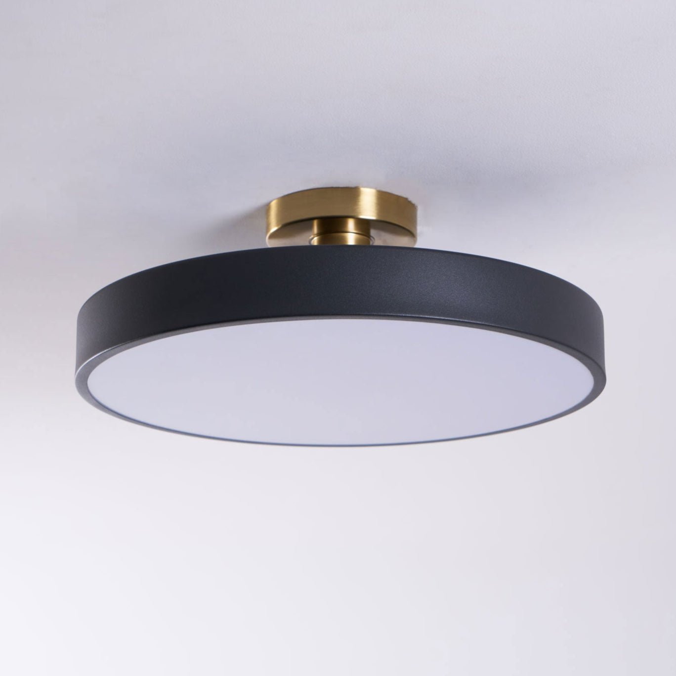 Isla Flush Mount Ceiling Lamp | Black and Gold Metal | 30cm or 40cm Diameter
