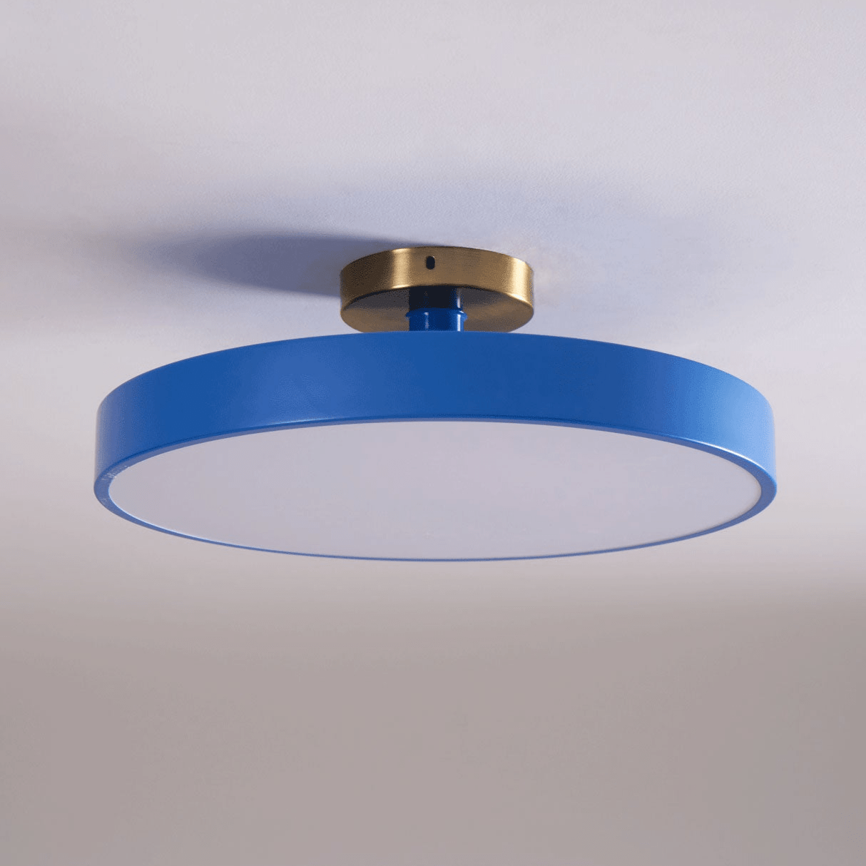 Isla Flush Mount Ceiling Lamp | Black and Gold Metal | 30cm or 40cm Diameter