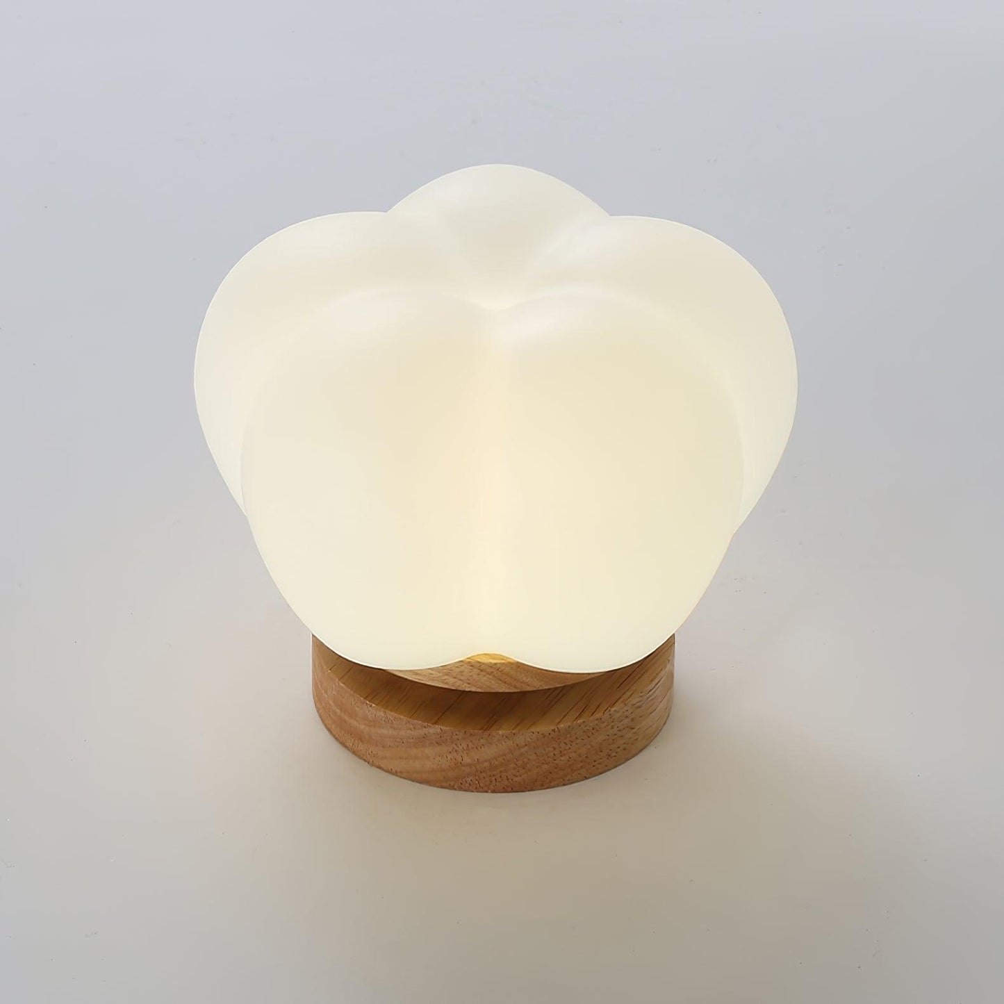 Kapok Flower Ceiling Lamp | Metal & Acrylic | White