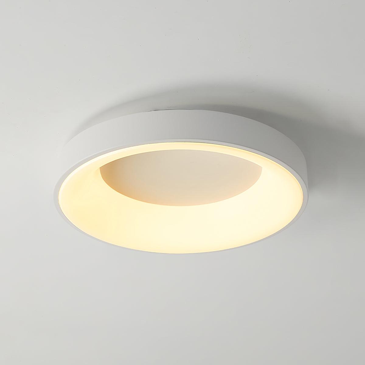 Keno Ceiling Lamp | Iron & Acrylic | White or Green