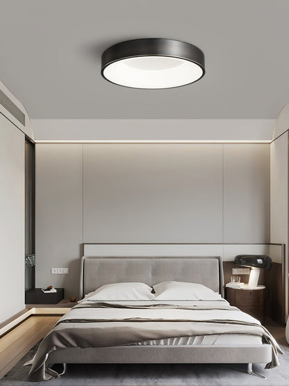Lumenia Ceiling Light | Brass & Acrylic | Modern Design