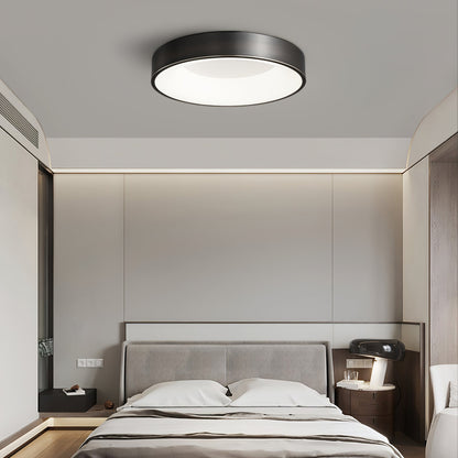 Lumenia Ceiling Light | Brass & Acrylic | Modern Design