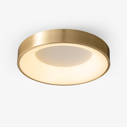 Lumenia Ceiling Light | Brass & Acrylic | Modern Design