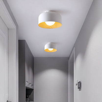 Lumosphere Ceiling Light | Metal, Glass | Wood Grain Hydrographics